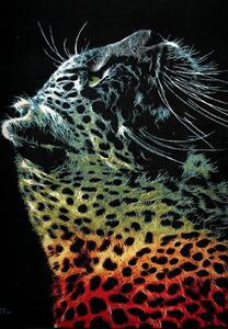 Covor Modern, Kolibri Black Leopard, Diverse Dimensiuni, 2300 gr mp