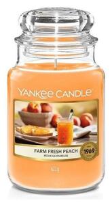 Lumânare parfumată FARM FRESH PEACH mare 623g 110-150 de ore Yankee Candle