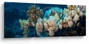 Tablou - în ocean (cu ceas) (90x30 cm)