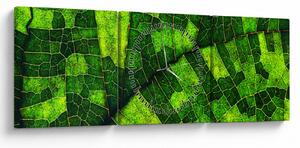 Tablou - Detaliu frunze (cu ceas) (90x30 cm)