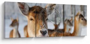 Tablou - Cerbi (cu ceas) (90x30 cm)