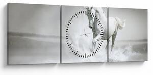 Tablou - Cal alb (cu ceas) (90x30 cm)