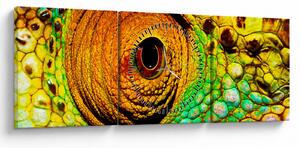 Tablou - Cameleon (cu ceas) (90x30 cm)