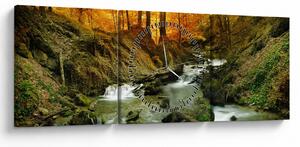 Tablou - Pădure (cu ceas) (90x30 cm)