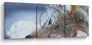 Tablou - Lup (cu ceas) (90x30 cm)