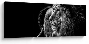 Tablou - Leu (cu ceas) (90x30 cm)