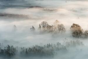 Fotografie Winter fog, Marco Galimberti