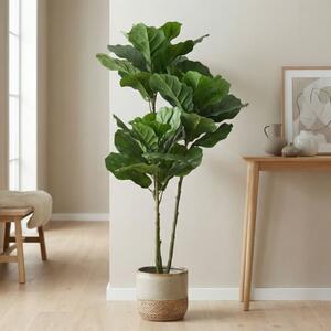 Plantă artificială Ficus Lyrata 128 cm, bogată în frunze, aspect realist, pentru interior, ghiveci negru inclus