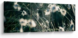 Tablou - Pânză de păianjen (cu ceas) (90x30 cm)