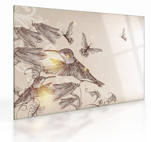 Tablou pe sticlă - Colibri (70x50 cm)