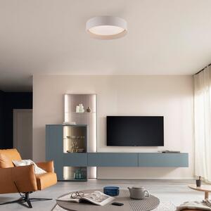 Schöner Wohnen Plafonieră LED TAVOLI, bej, Ø 29 cm, metal, CCT, dimabilă, reglabil, Bej, Camera de zi / sufragerie, Metal