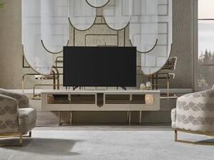 Unitate T.V Monza