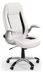 Scaun de birou Houston 569, Negru, Alb, 112x67x65cm, 17 kg