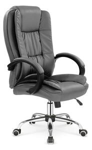 Scaun de birou Houston 243, Gri, 110x64x75cm, 16 kg