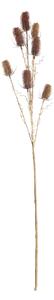 Câinele de câmp ornamental 110cm red beige