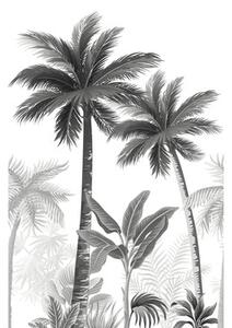 Fototapet vlies Smart Art Easy 47204 palmieri gri/alb 159x270 cm