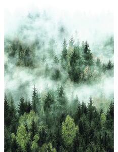 Fototapet vlies Smart Art Easy 47267 pădure verde/alb 159x270 cm