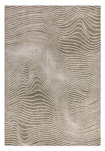 Covor verde-crem 160x230 cm Mason – Asiatic Carpets