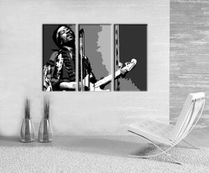 Tablou pictat manual POP Art Jimmy Hendrix 3-piese (tablouri)