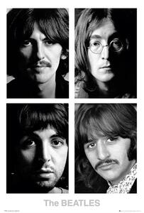Poster The Beatles - White album, (61 x 91.5 cm)