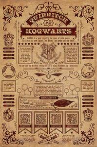 Poster Harry Potter - Vâjhaţ