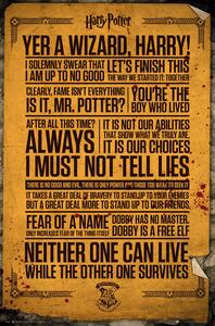 Poster Harry Potter - Quotes, (61 x 91.5 cm)