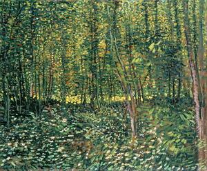 Vincent van Gogh - Artă imprimată Trees and Undergrowth, 1887, (40 x 35 cm)