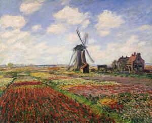 Reproducere Tulip Fields with the Rijnsburg Windmill, 1886, Claude Monet