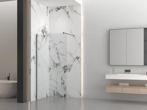 Erga Paris, Paravan de duș walk-in 50x200 cm, sticlă transparentă de 8 mm, profil grafit, ERG-V02-PARIS-050x200-CL-GG