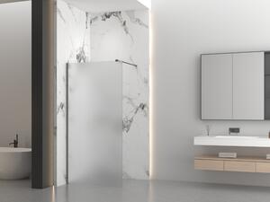 Erga Paris, Paravan de duș walk-in 50x200 cm, sticlă mată 8mm, profil grafit, ERG-V02-PARIS-050x200-FR-GG