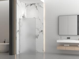 Erga Paris, Paravan de duș walk-in 90x200 cm, sticlă mată 8mm, oțel periat, ERG-V02-PARIS-090x200-FR-BS