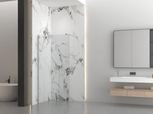 Erga Paris, Paravan de duș walk-in 50x200 cm, sticlă transparentă 8mm, oțel periat, ERG-V02-PARIS-050x200-CL-BS