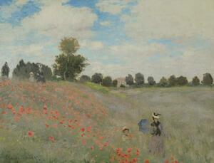 Claude Monet - Reproducere Wild Poppies, near Argenteuil , 1873, (40 x 30 cm)