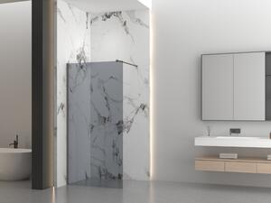 Erga Paris, Paravan de duș Walk-In 30x200 cm, sticlă gri 8mm, profil grafit, ERG-V02-PARIS-030x200-GR-GG