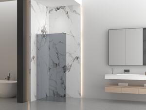 Erga Paris, Paravan de duș walk-in 30x200 cm, sticlă gri 8mm, oțel periat, ERG-V02-PARIS-030x200-GR-BS