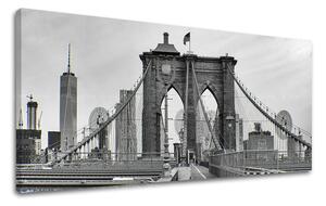 Tablouri canvas ORAȘE Panorama - NEW YORK ME114E13 (tablouri)