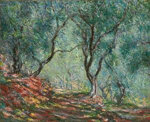 Monet, Claude - Artă imprimată Olive Trees in the Moreno Garden; Bois d'oliviers au jardin Moreno, (40 x 30 cm)