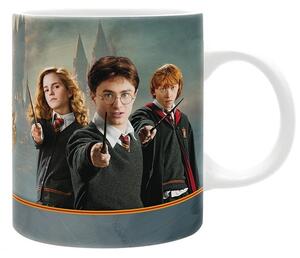 Cană Harry Potter - Harry & Co