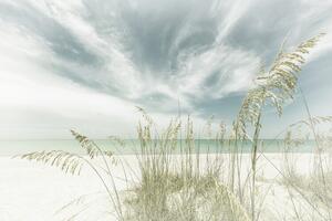 Fotografie de artă Heavenly calmness on the beach | Vintage, Melanie Viola, (40 x 26.7 cm)