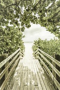 Fotografie de artă Bridge to the beach with mangroves | Vintage, Melanie Viola, (26.7 x 40 cm)