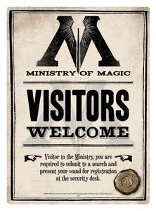 Placă metalică Harry Potter - Ministry Of Magic, (15 x 21 cm)