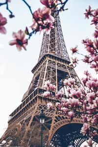 Poster Paris - Eiffel Tower, (61 x 91.5 cm)