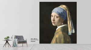 Fototapet vlies Special Decoration Vermeer Fata cu cercel de perlă 243x280 cm