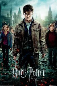 Poster Harry Potter și Talismanele Morții[, (61 x 91.5 cm)