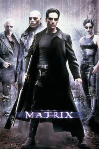 Poster de artă Matrix - Hackeri