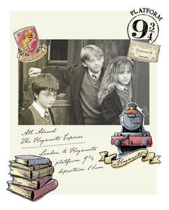 Poster de artă Harry Potter - Hermione, Harry și Ron