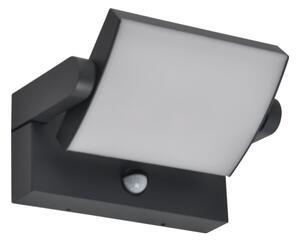 Brilagi - LED Aplica de perete pentru exterior ANKLE LED/12W/230V IP65 negru