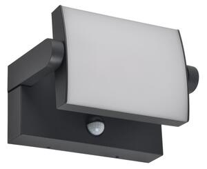 Brilagi - LED Aplica de perete pentru exterior ANKLE LED/12W/230V IP65 negru