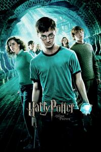 Poster de artă Harry Potter - Ordinul Phoenix, (26.7 x 40 cm)