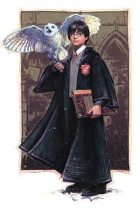 Poster de artă Harry Potter with Hedvig - Art, (26.7 x 40 cm)